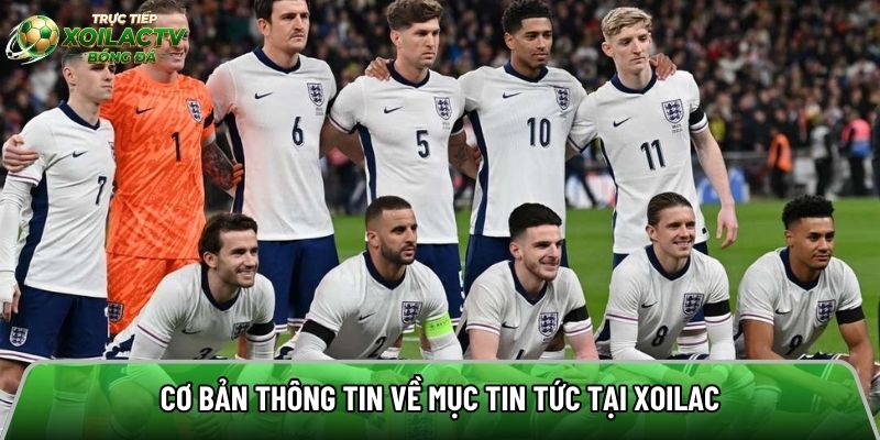 Cơ bản thông tin về giới thiệu trang xem bóng đá online